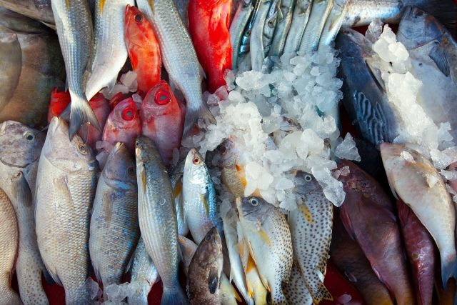 Tres famosos pescados que los médicos no quieren que comas