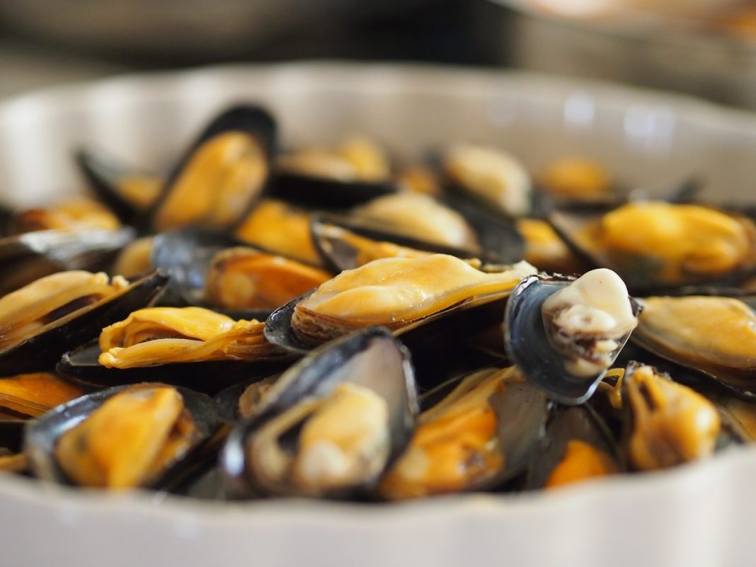 Mejillones al curry: la receta que supera los mejillones al vapor