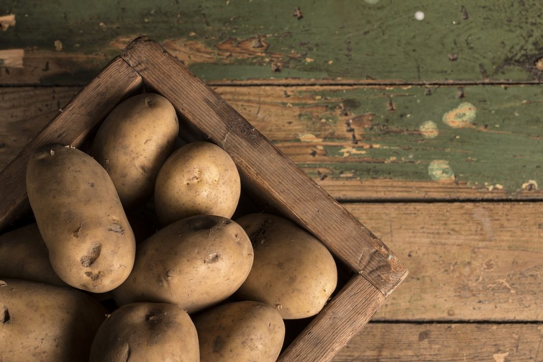 Estas son las mejores patatas para freírlas