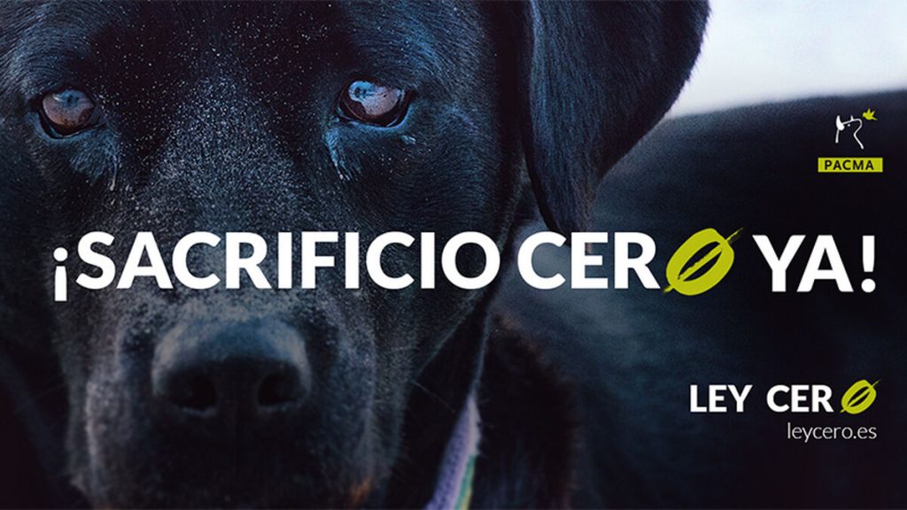 Sacrificio