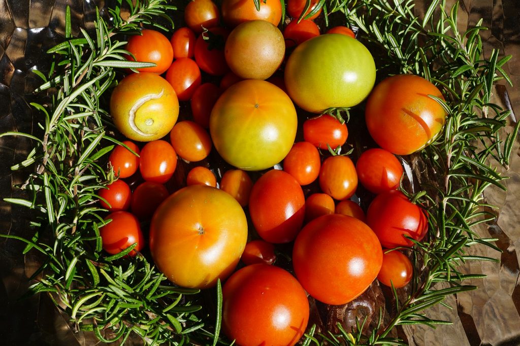 Tomates