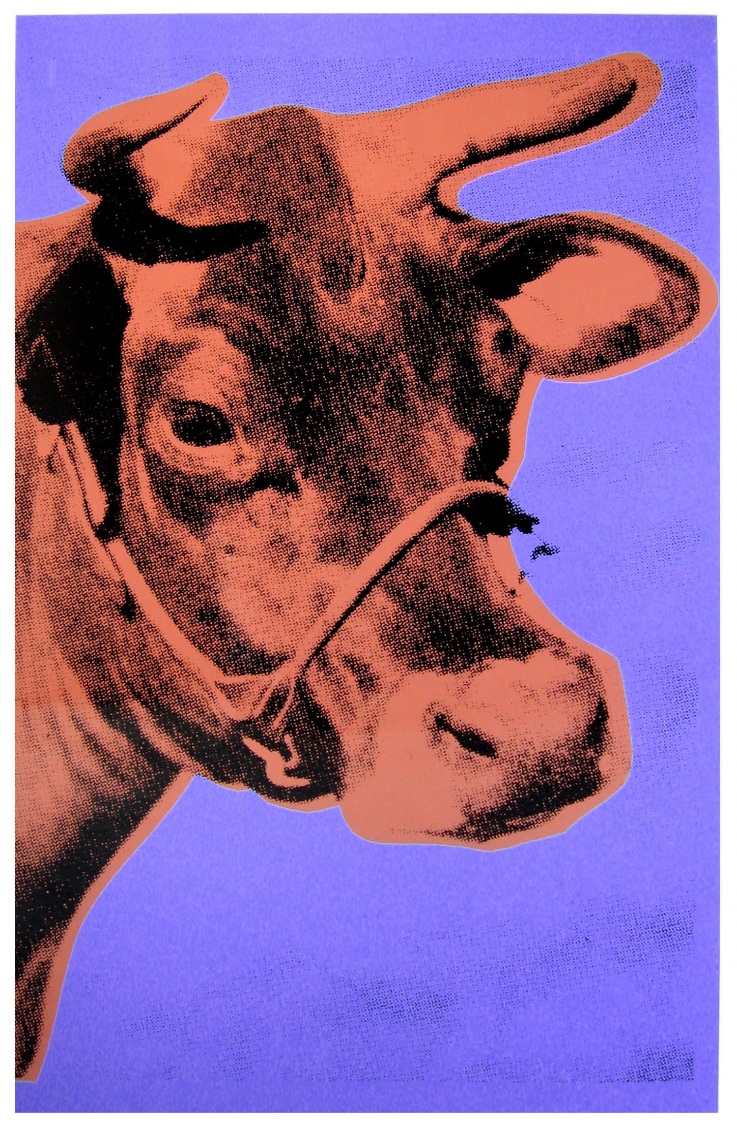 Andy Warhol Super Pop Next Exhibition Palacio De Santa Barbara Madrid Cow