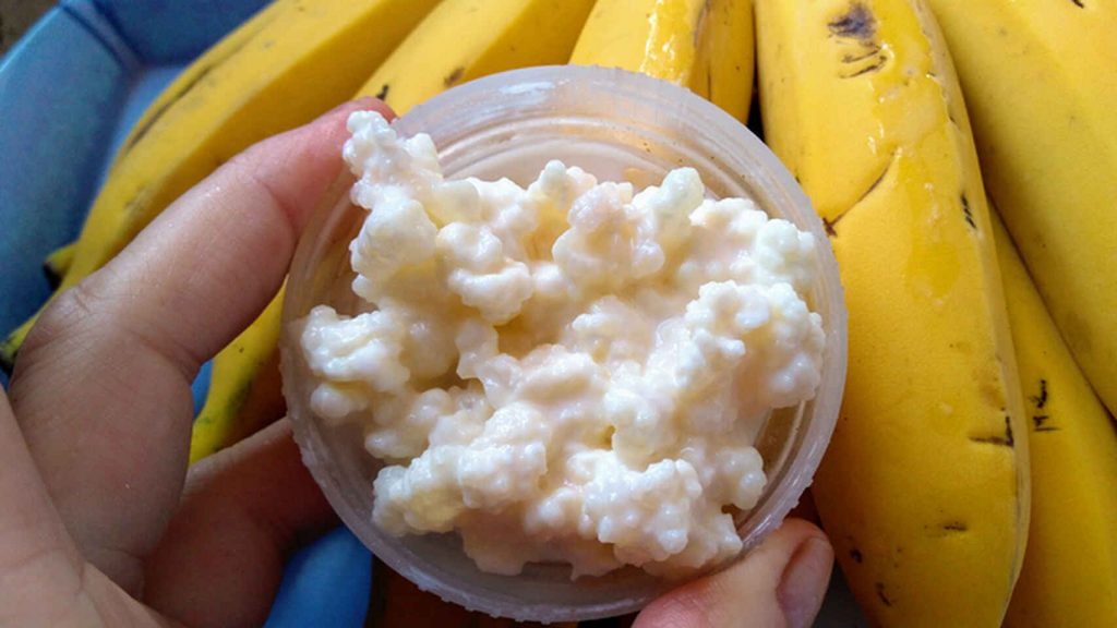 Descubrimiento científico