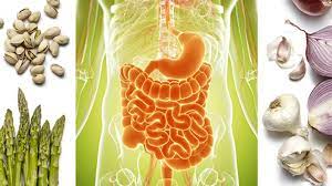 Beneficios digestivos: Probióticos y salud intestinal