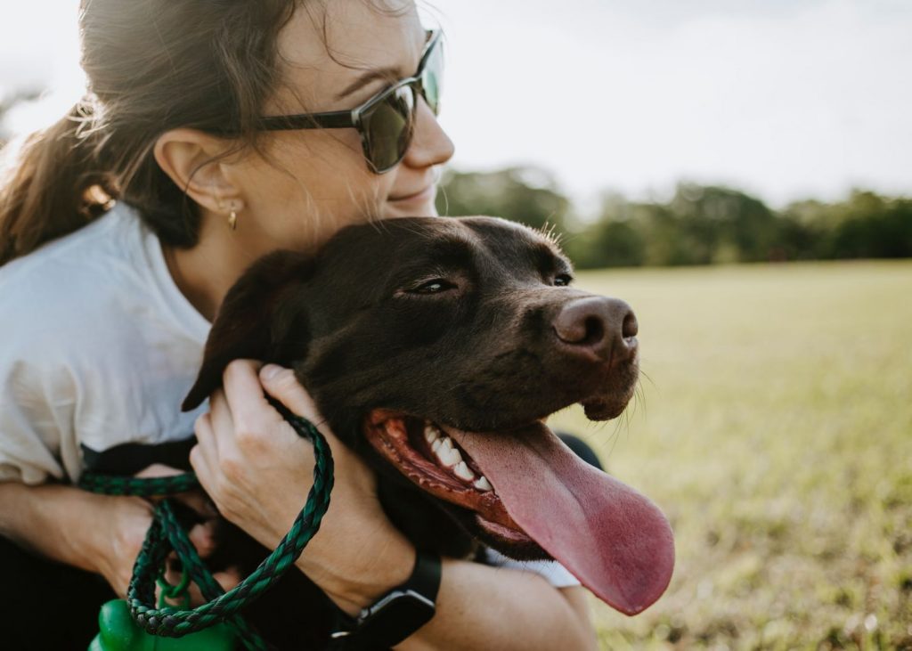 El Motivo Por El Que No Debes Abrazar A Tu Perro