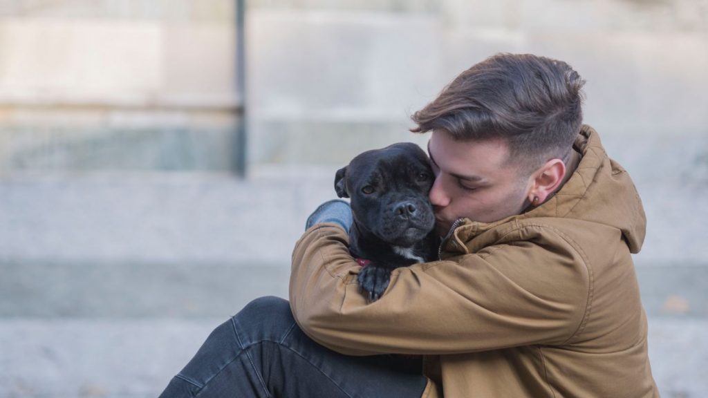 El Motivo Por El Que No Debes Abrazar A Tu Perro