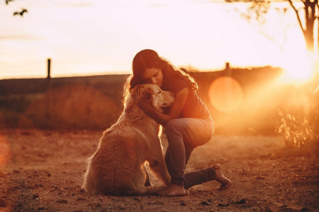 El motivo por el que no debes abrazar a tu perro