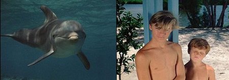 ¿Entonces Es Cierto Que Los Delfines Se Suicidan?
