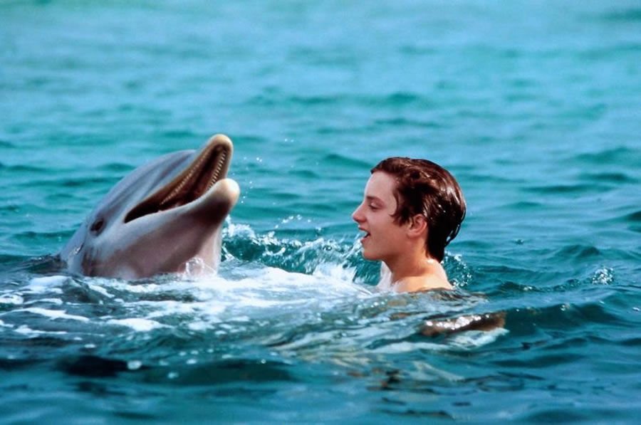 La Historia De Flipper, El Famoso Delfín De La Serie