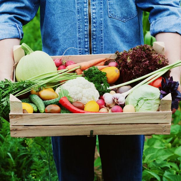 ¿Las Verduras Son Mejor Crudas?