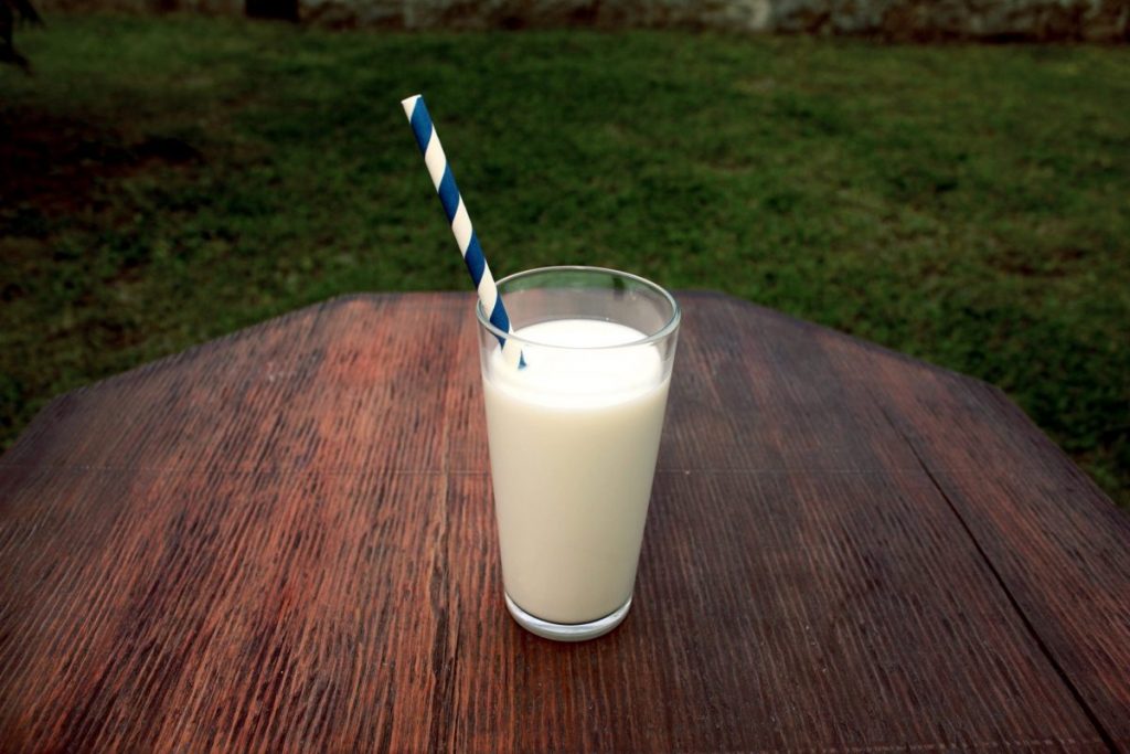¿Qué Es La Leche?