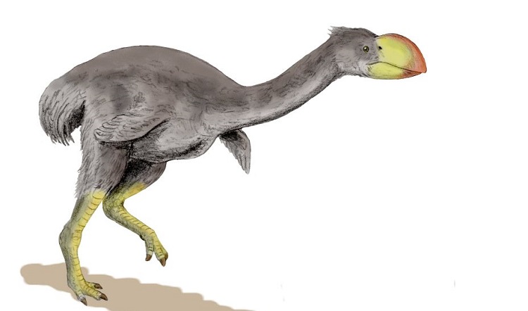 10 Terroríficos Animales Prehistóricos Que No Eran Dinosaurios