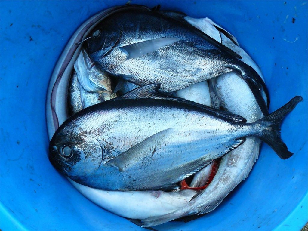 Alimentos Que Te Dan Dolor De Cabeza Y Sigues Consumiendo