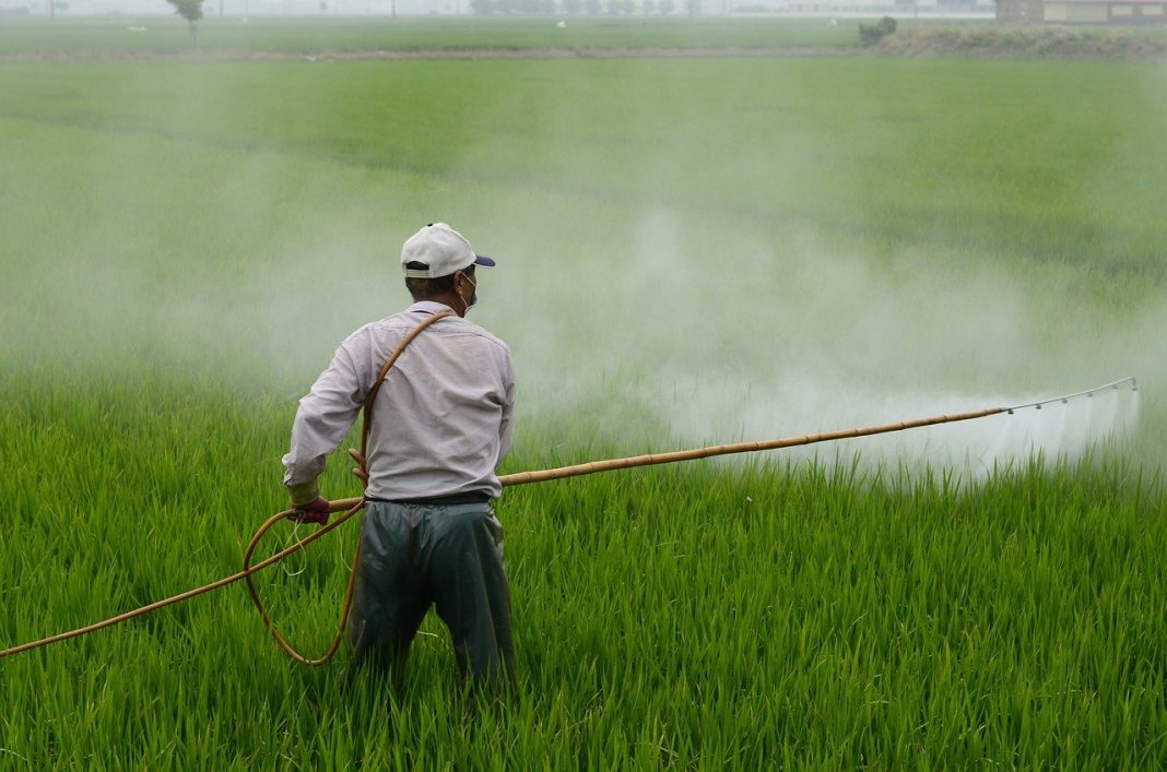 Frutas y verduras que conservan más pesticidas