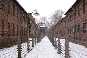 El Holocausto: Ni Les Perdonaremos Ni Os Olvidaremos 2 Holocausto