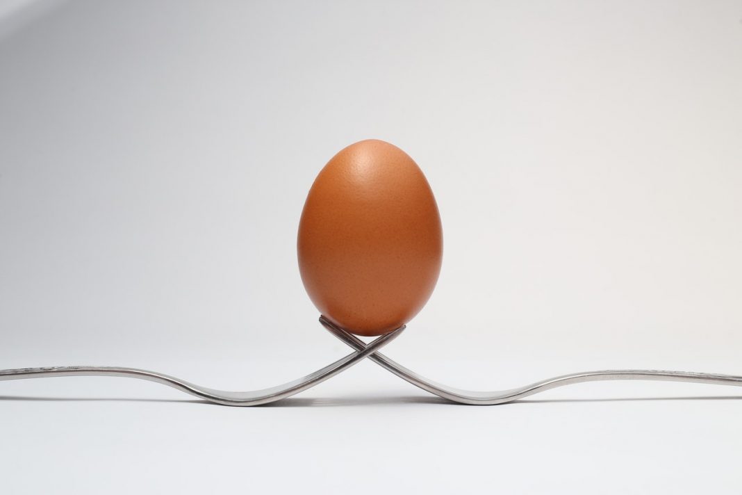 Qué le pasa a tu cuerpo si comes huevos todos los días
