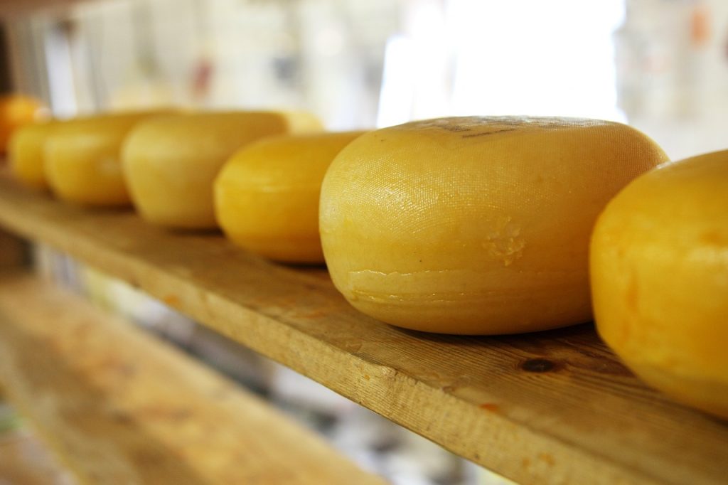 Estos Son Los 10 Quesos Más Saludables Que Puedes Comer En Una Dieta