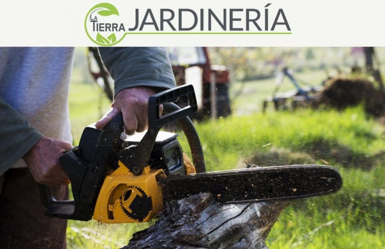 La importancia de la tala de árboles, por LA TIERRA JARDINERÍA
