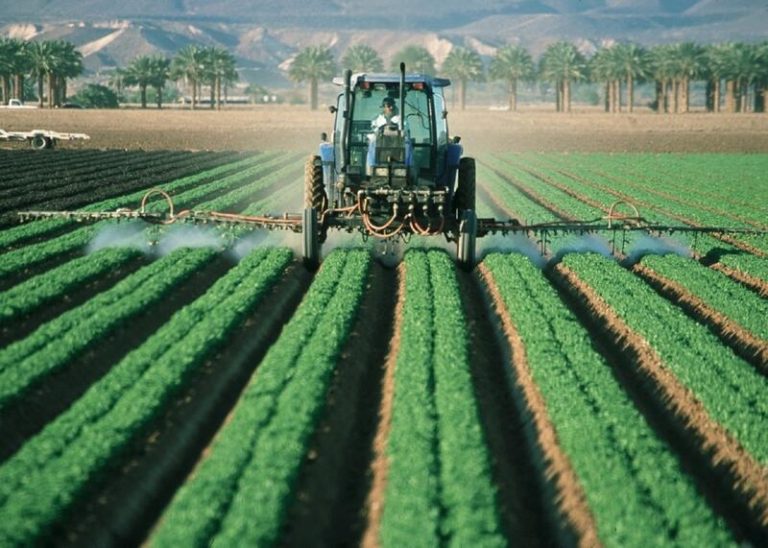 UPA pide un plan urgente de apoyo al campo para hacer frente a la sequía