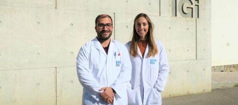 El silenciamiento de un gen específico atenúa el aumento de peso inducido por la dieta