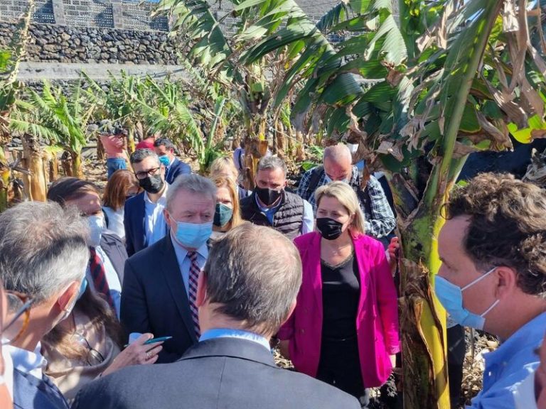 La Comisión Europea mantiene el mismo nivel de ayudas para los productores afectados por el volcán
