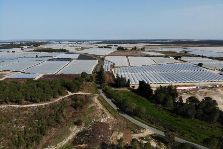 Bruselas pide aclaraciones a España para «garantizar la ejecución de la sentencia» del TJUE sobre Doñana