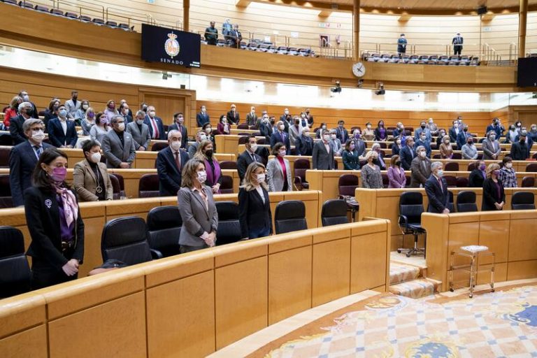 Todas las ayudas públicas y sus resoluciones deberán ser accesibles y comprensibles para las personas con discapacidad