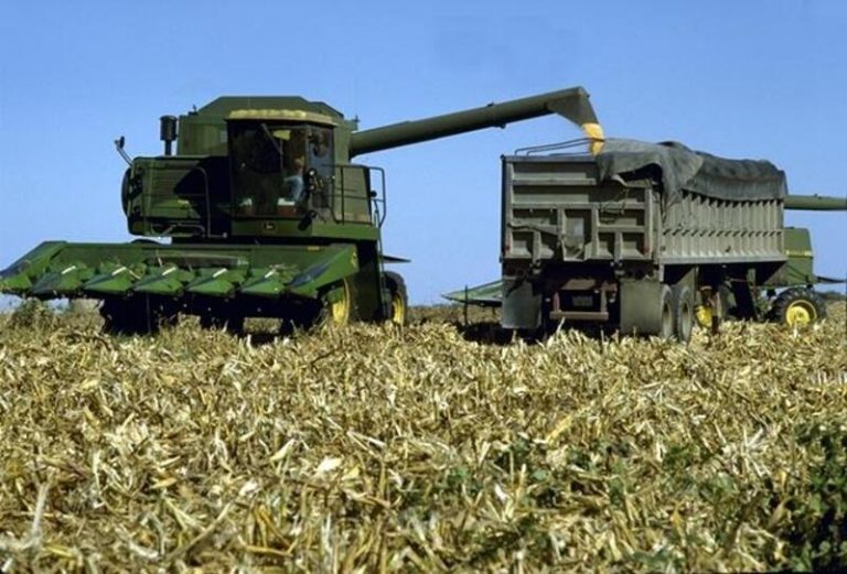 Cooperativas agroalimentarias piden que se autoricen las importaciones de cereal de EEUU y Argentina