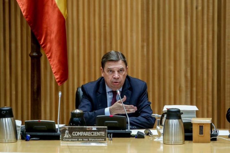 Planas señala un «ligero incremento» del precio de aceite de oliva y garantiza su abastecimiento