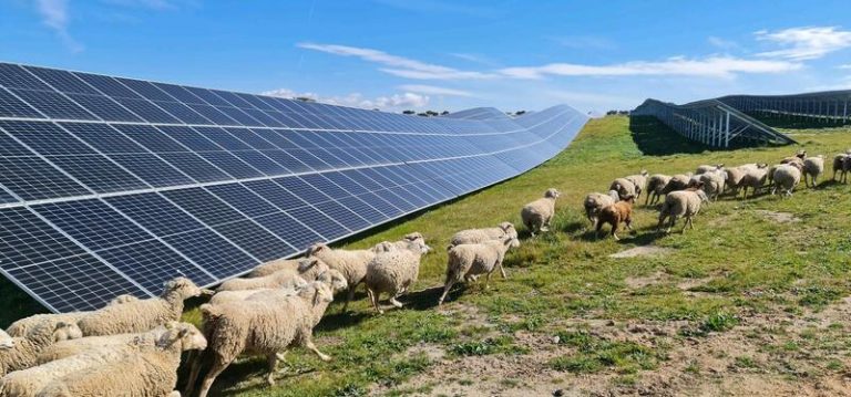 Solarpack lanza una línea de comercialización de energía con un modelo de autoconsumo solar en remoto