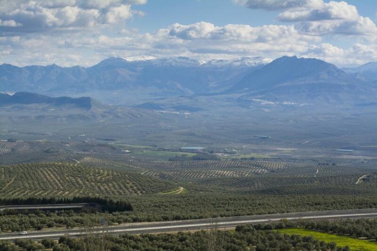 UPA ve «avances» en el decreto frente a la sequía, pero reclama contar con ayudas directas