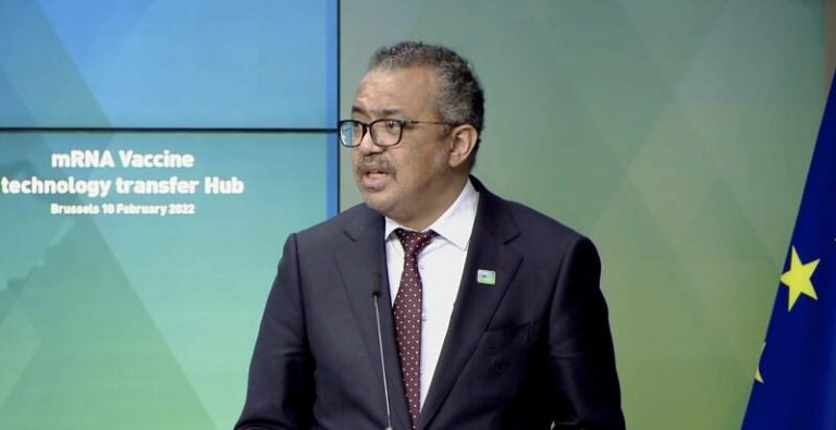 La OMS pide «un alto el fuego inmediato» en Ucrania y advierte sobre los problemas de acceso