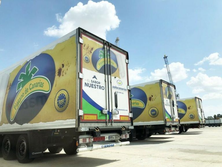 El sector del plátano de Canarias valora paralizar parte de su actividad a partir de la próxima semana