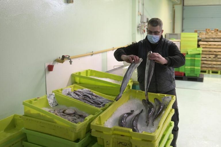 Los puertos gallegos de Burela, Celeiro y A Coruña, en situación «crítica» al no poder mover el pescado