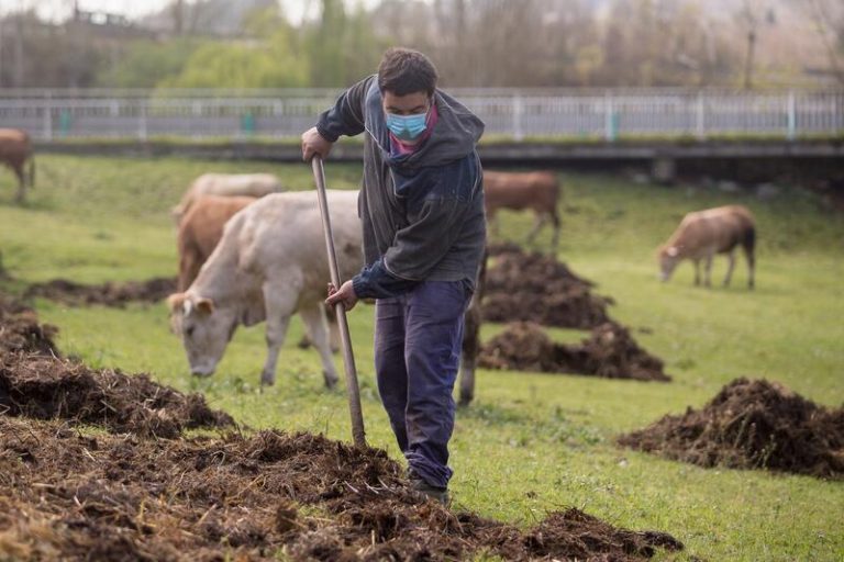 El sector cárnico gallego advierte de la situación «crítica» y de que su viabilidad peligra