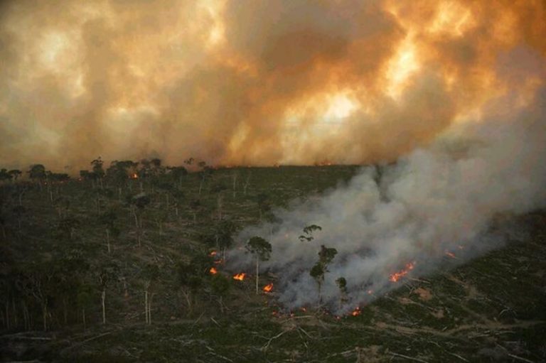 Ecologistas en Acción denuncia en el Día Internacional de los Bosques la deforestación causada por la industria de soja