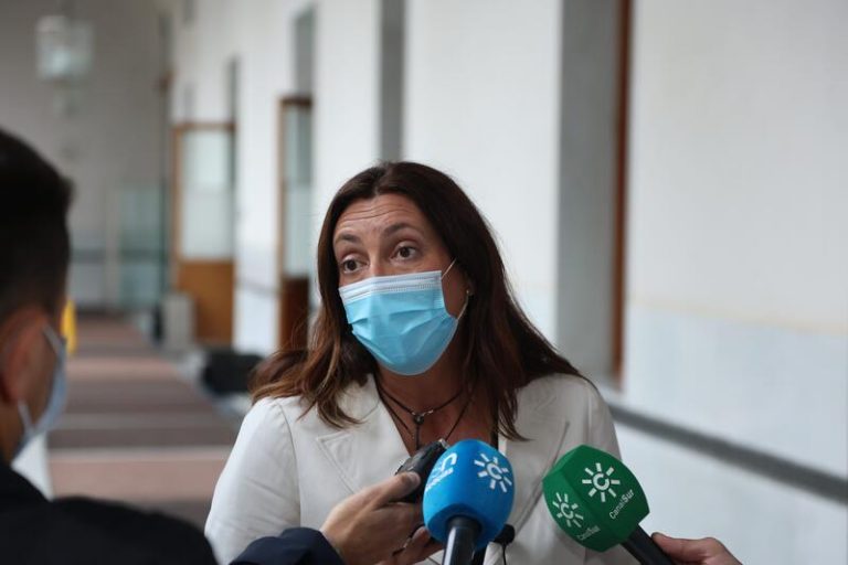 PP-A critica la «nueva pinza de PSOE-A, Vox y Unidas Podemos contra la autonomía fiscal y financiera en Andalucía»