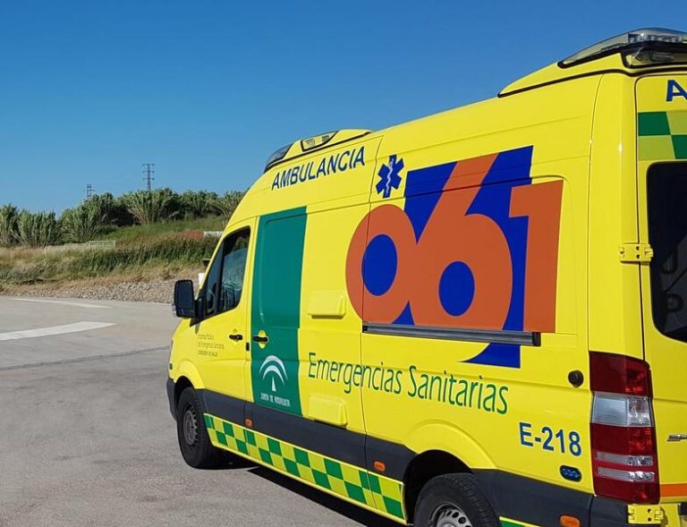El Ayuntamiento de Almería confirma que la palmera cuya caída ha causado una muerte había pasado las revisiones