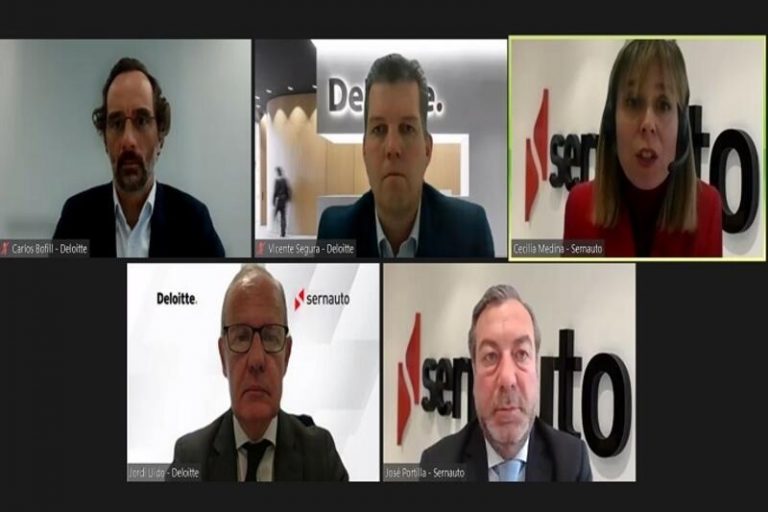 Portilla avisa de que el plazo disponible para pedir las ayudas del Perte VEC es «reducido»