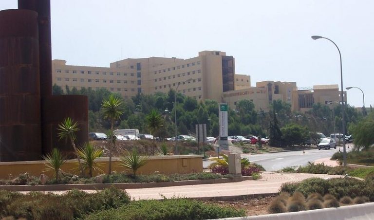 Fallece el conductor de 60 años herido muy grave este jueves por la caída de una palmera en Almería