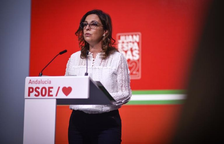 PSOE-A defiende que los partidos a su izquierda «unifiquen criterios»