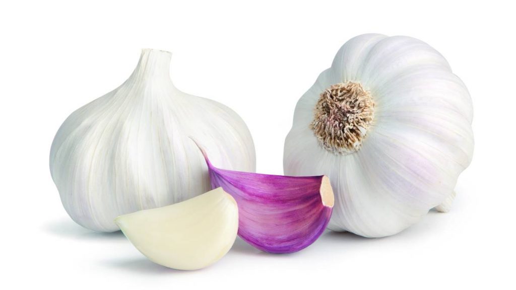 Ajo