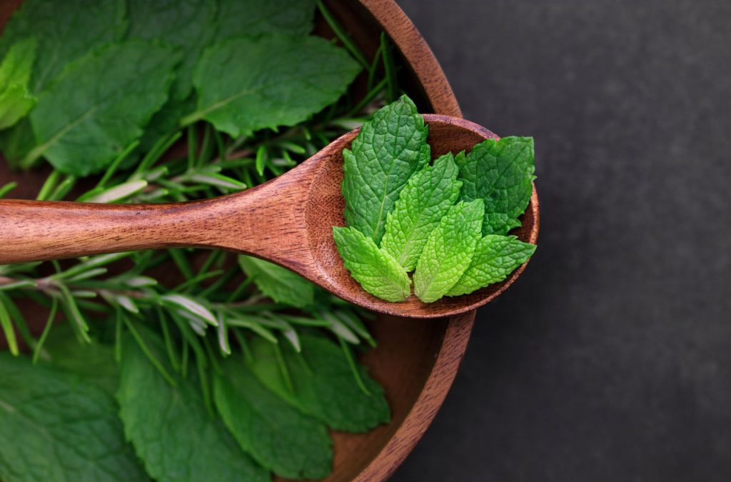 Cómo Acabar Con Las Hormigas En La Cocina