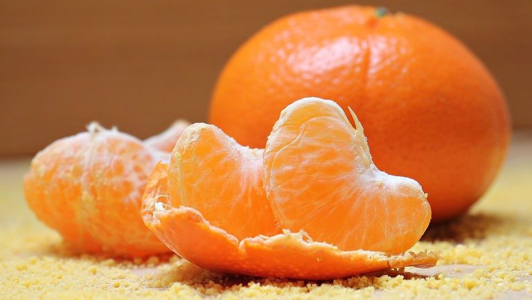 Cómo saber si un alimento está en mal estado