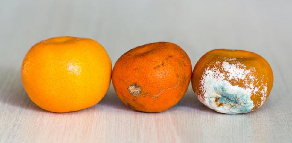 Cómo Saber Si Un Alimento Está En Mal Estado