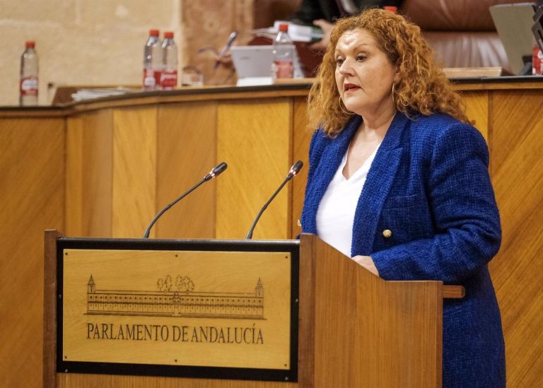 El Parlamento aboga por que Andalucía ofrezca acogimiento a refugiados y atención a menores no acompañados