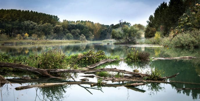 El Programa de las Naciones Unidas para el Medio Ambiente apuesta por implementar el enfoque ‘One Health’