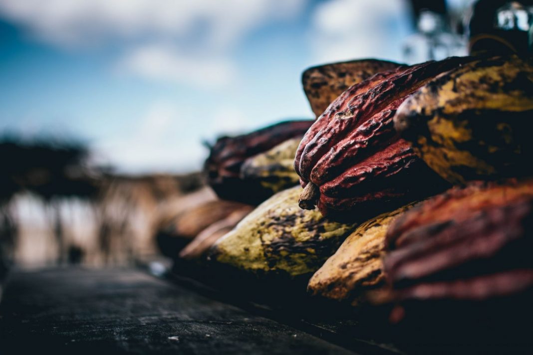 El superalimento que borra tu estrés y te quita arrugas