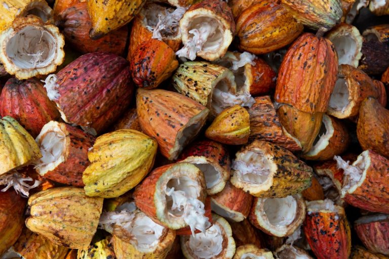 El superalimento que borra tu estrés y te quita arrugas