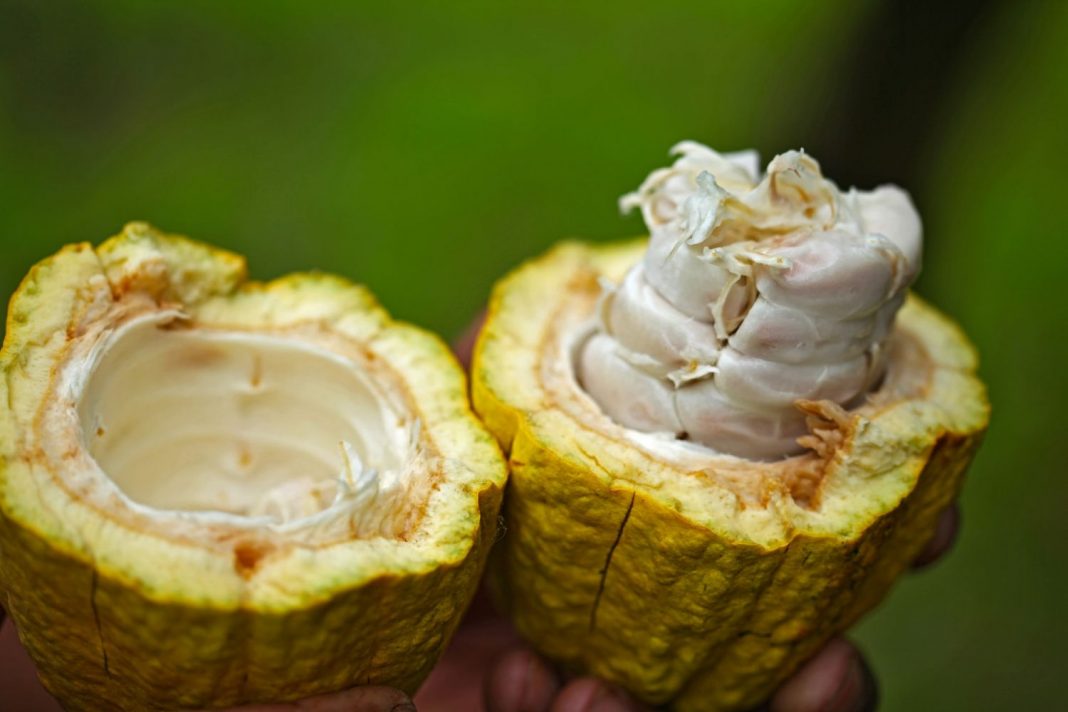 El superalimento que borra tu estrés y te quita arrugas